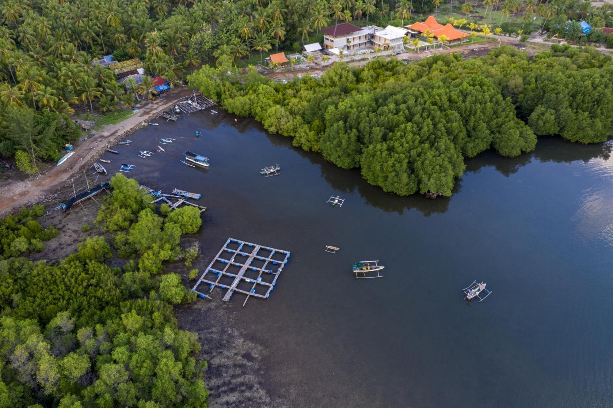 Mangroove Bay Boutique Hostel Banyuwedang Bagian luar foto